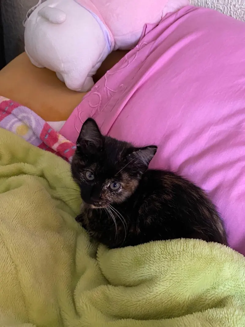 se sentia segura en mi cama,estaba muy chiquita